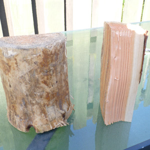 Douglas Fir / Oregon Wood Thumbnail